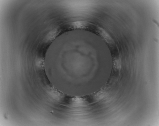 X0000099300419200805021235