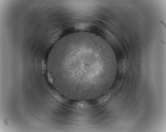 X0000099300420200805021235