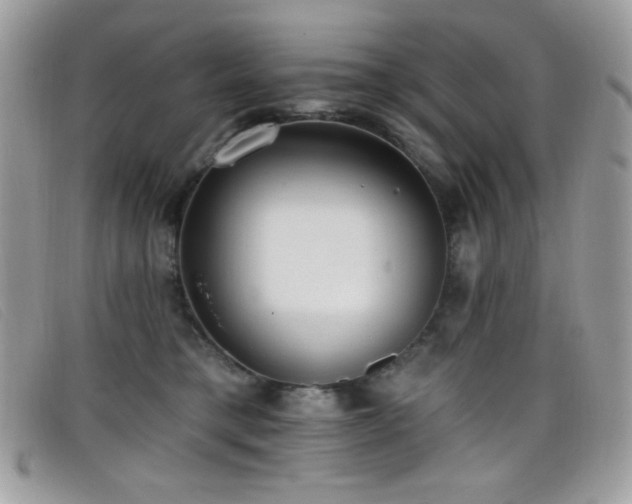 X0000099300421200805021235