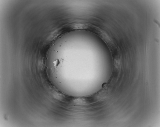 X0000099300422200805021235