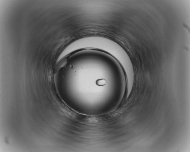 X0000099300423200805021235