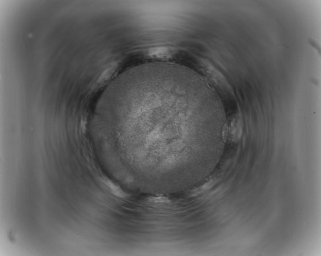 X0000099300424200805021235