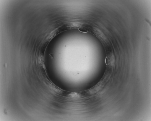 X0000099300425200805021235