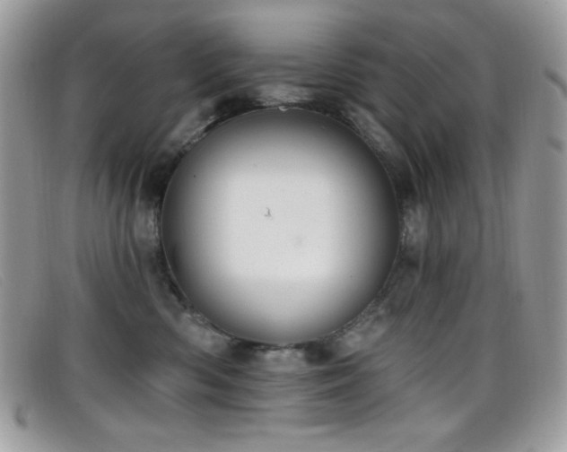 X0000099300426200805021235