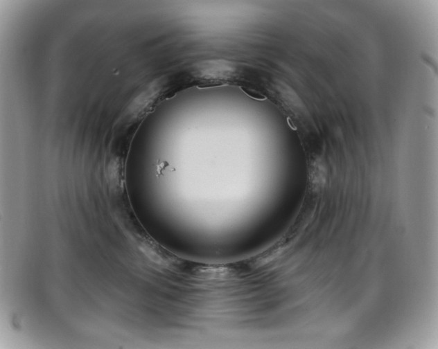 X0000099300428200805021235