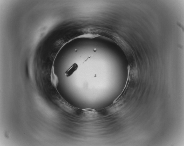 X0000099300429200805021235