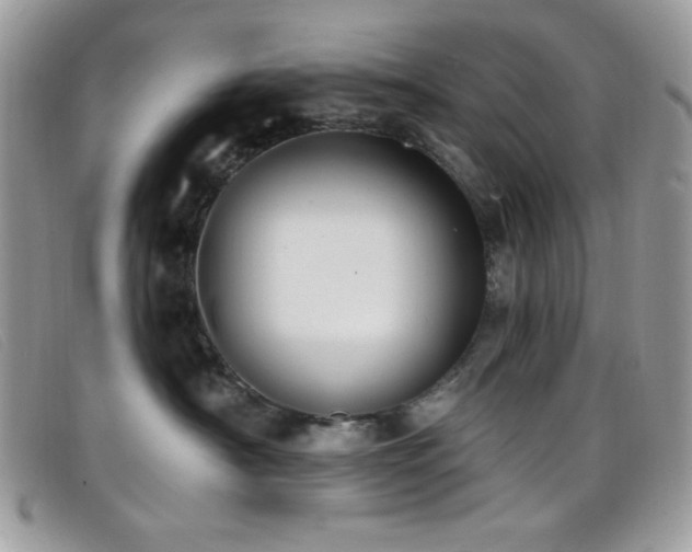 X0000099300430200805021235