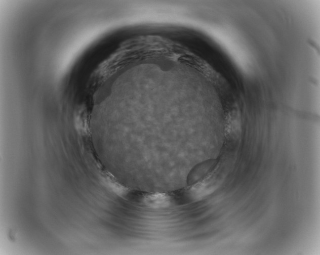 X0000099300431200805021235