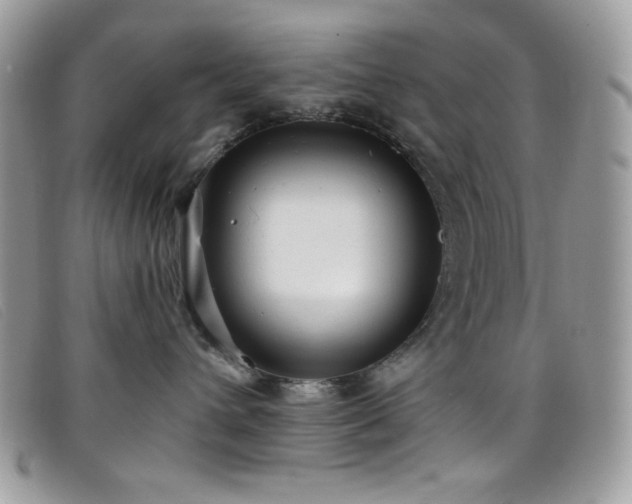 X0000099300432200805021235