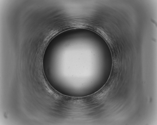 X0000099300433200805021234