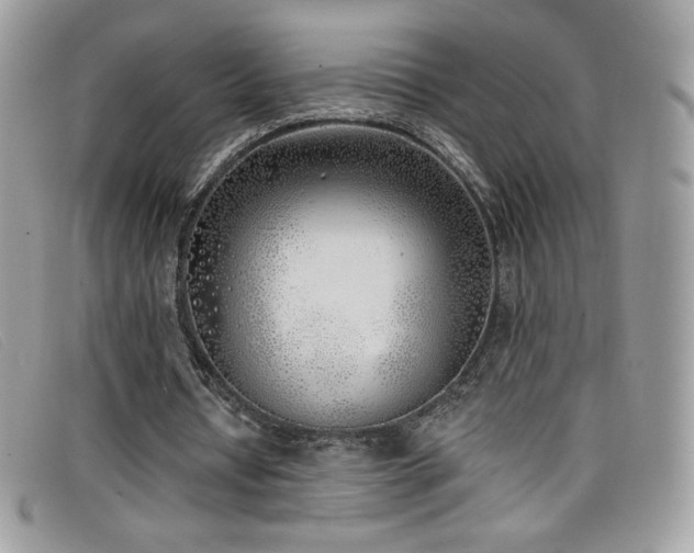 X0000099300434200805021234