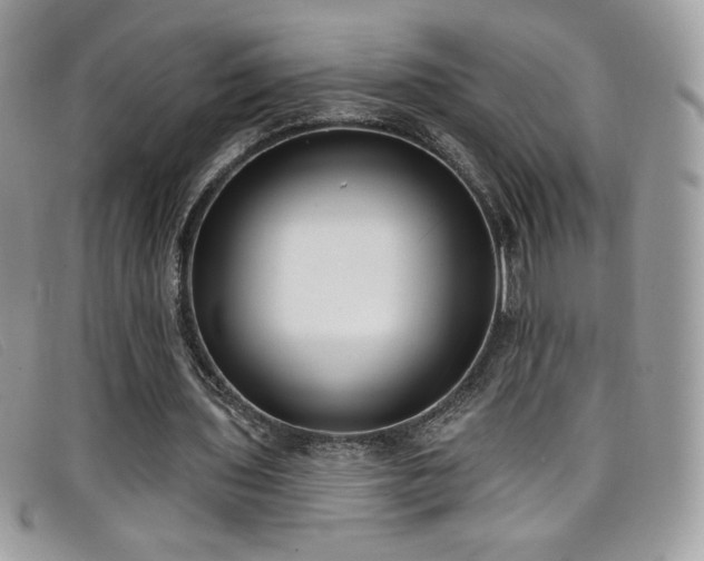 X0000099300435200805021234