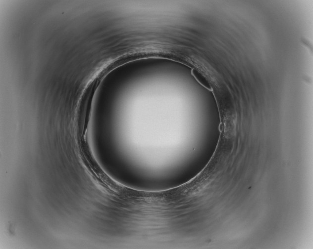 X0000099300436200805021234