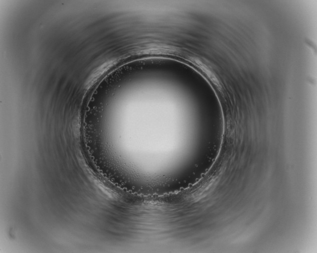 X0000099300437200805021234