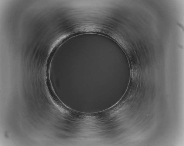 X0000099300438200805021234