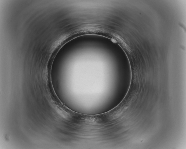 X0000099300439200805021234