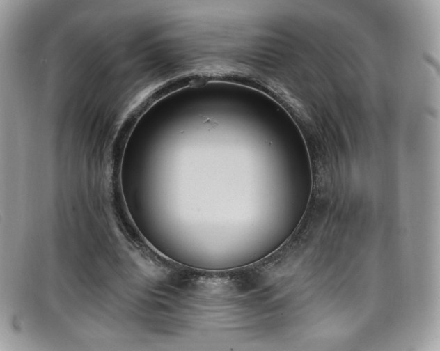 X0000099300440200805021234