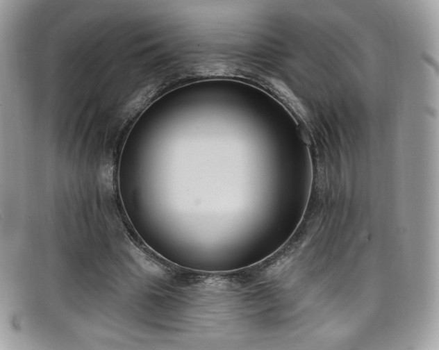 X0000099300441200805021234