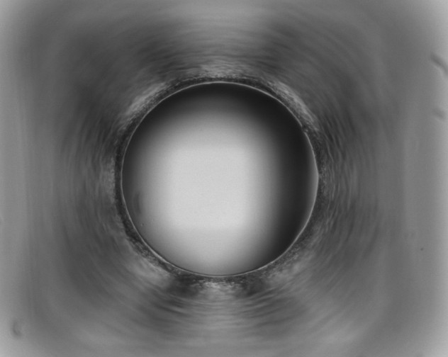 X0000099300442200805021234