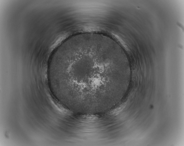 X0000099300443200805021234