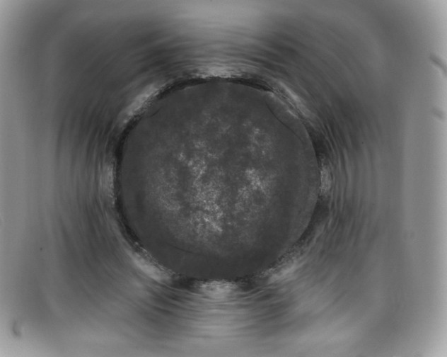 X0000099300444200805021234