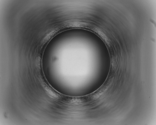 X0000099300445200805021234