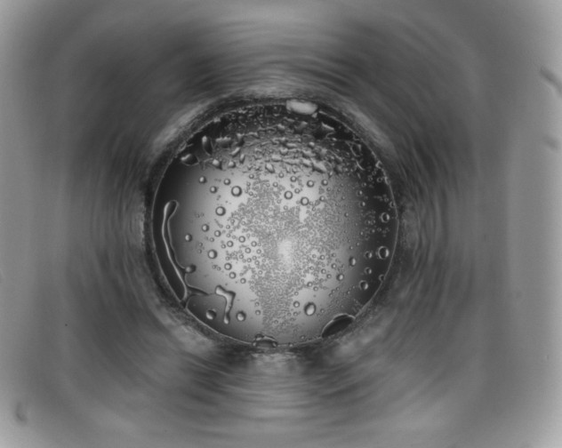 X0000099300446200805021234