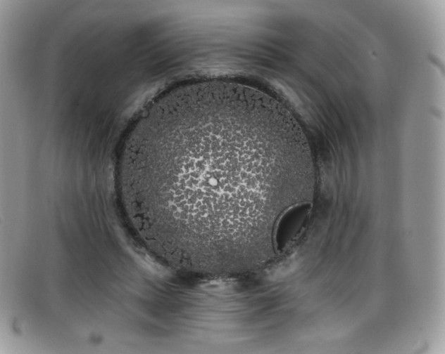 X0000099300447200805021234