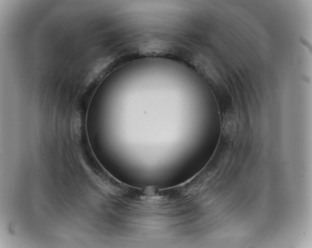 X0000099300448200805021234