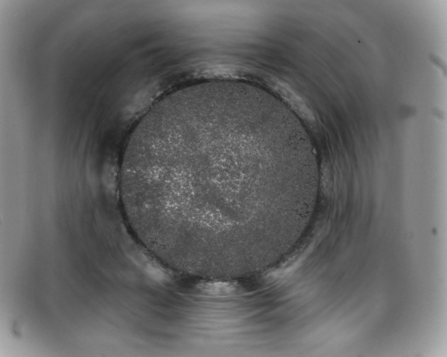 X0000099300449200805021234