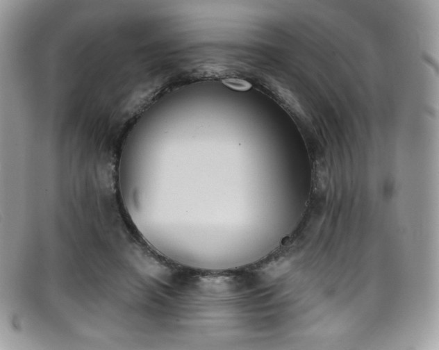 X0000099300450200805021234