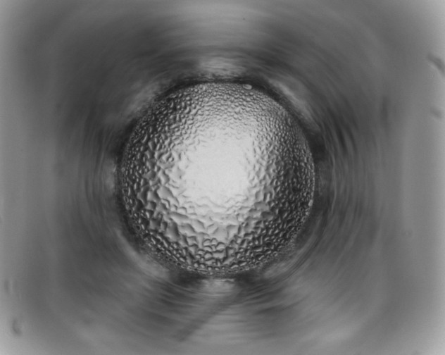 X0000099300451200805021234