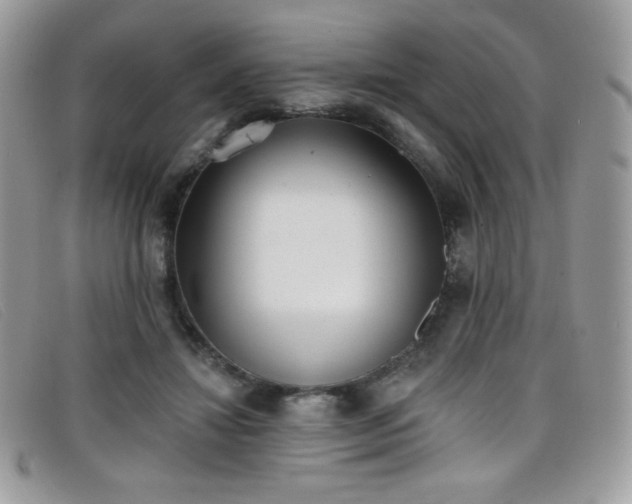 X0000099300452200805021234