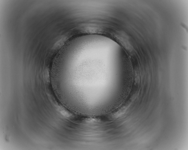 X0000099300453200805021235