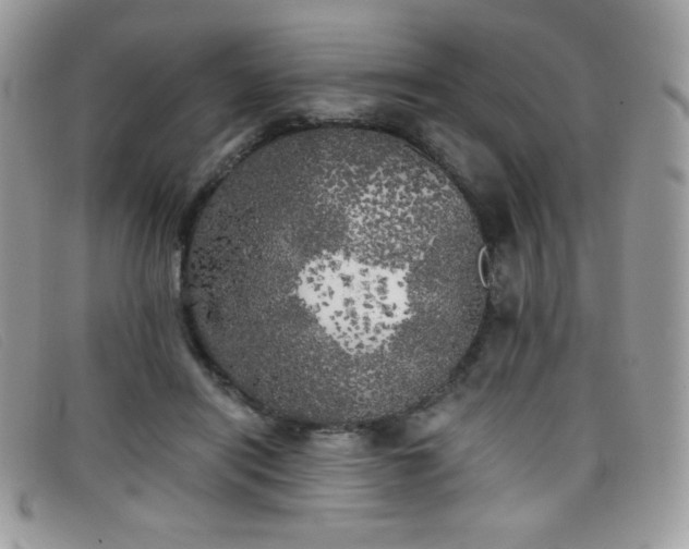 X0000099300454200805021235