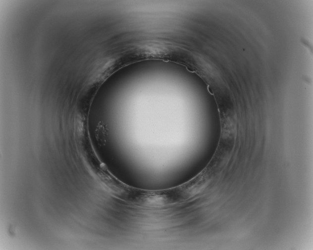 X0000099300456200805021235