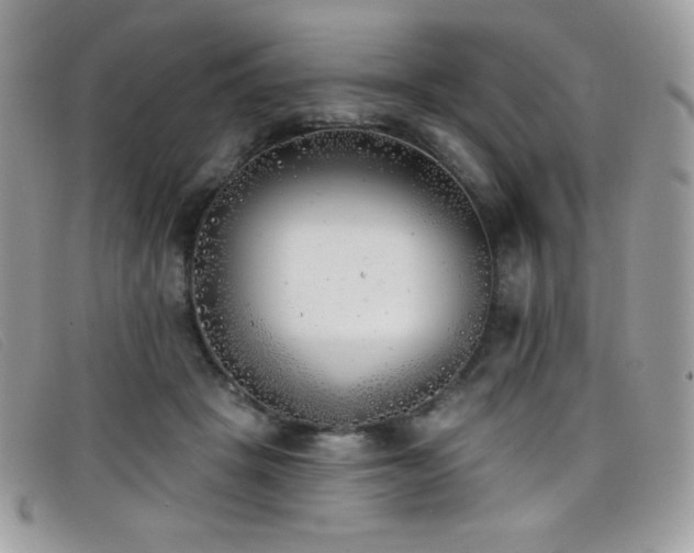 X0000099300457200805021235