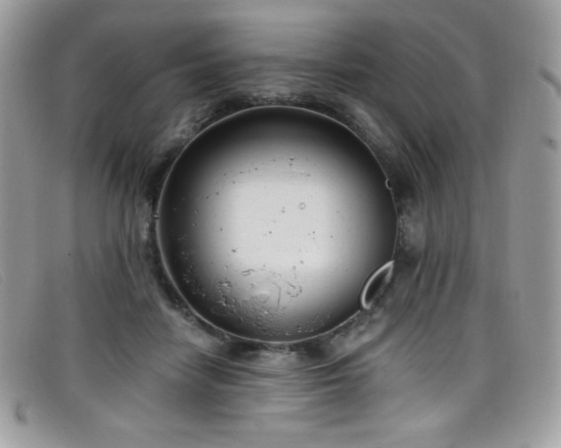 X0000099300458200805021235