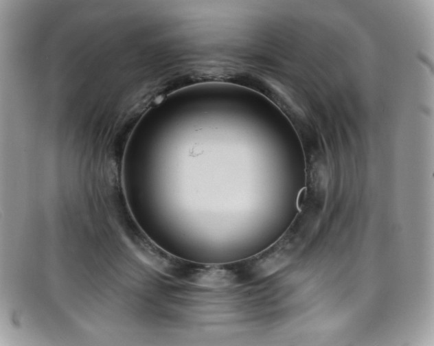 X0000099300459200805021235