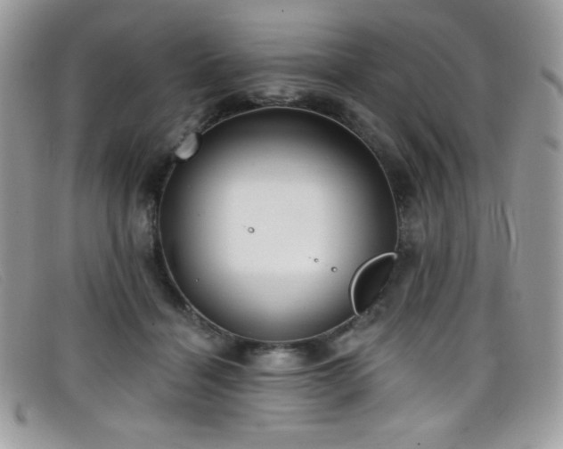 X0000099300460200805021235