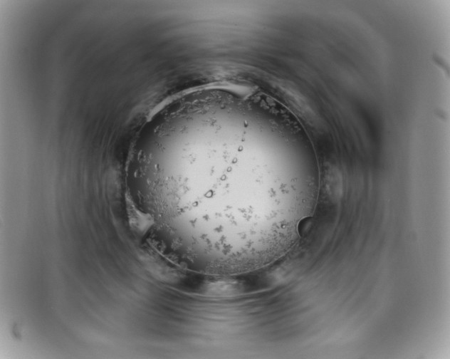 X0000099300461200805021235