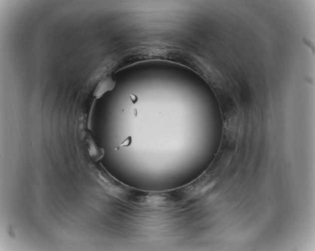 X0000099300462200805021235