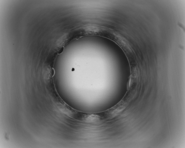 X0000099300463200805021235