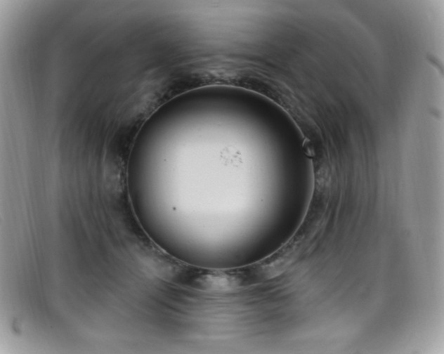 X0000099300464200805021235