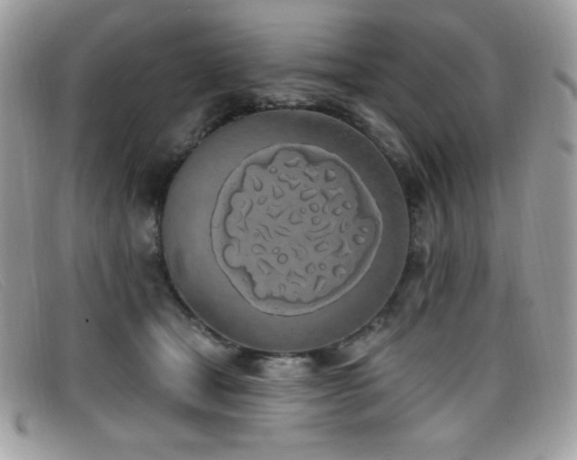 X0000099300465200805021235