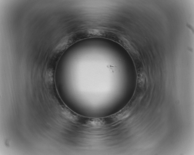 X0000099300466200805021235