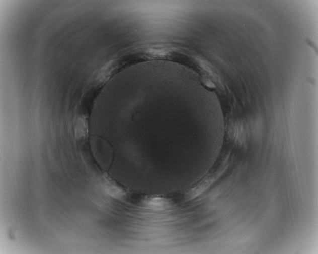 X0000099300467200805021235