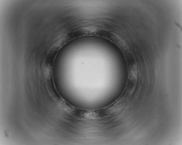 X0000099300468200805021235