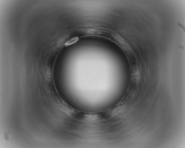 X0000099300469200805021235