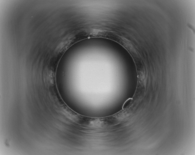 X0000099300470200805021235